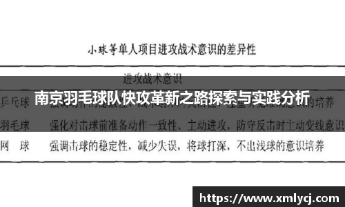 南京羽毛球队快攻革新之路探索与实践分析